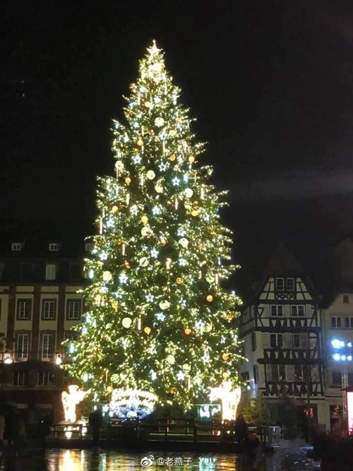 法国阿尔萨斯斯特拉斯堡今年的圣诞树